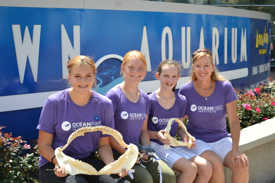 Shark Week at The Downtown Aquarium