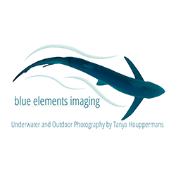 Blue Elements Imaging