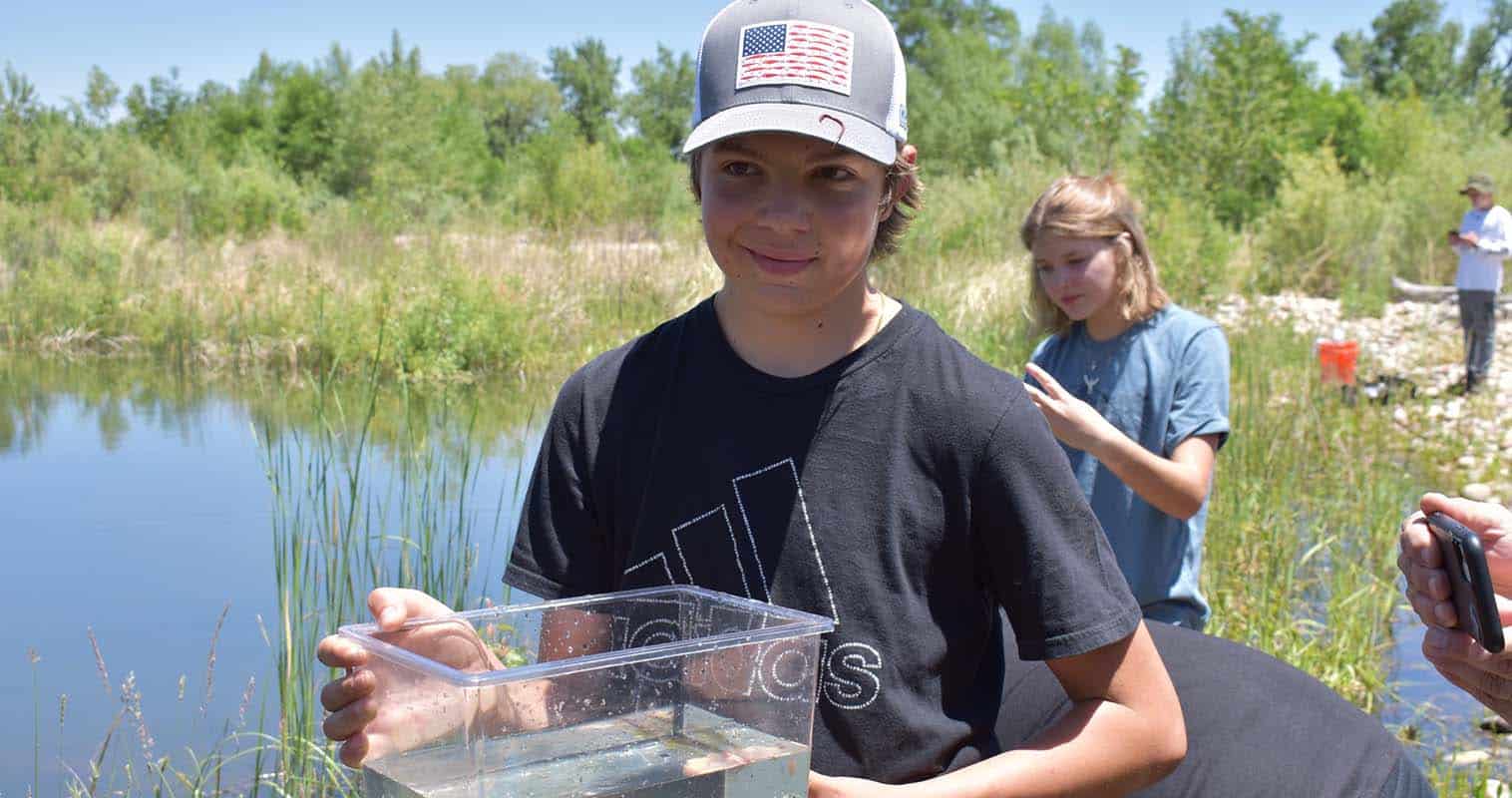Redbelly Dace Fish Recovery Project