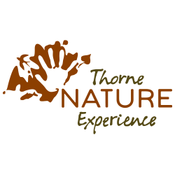 Thorne Nature Experience